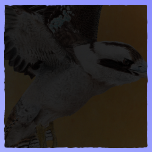Wingspan - Oceania Expansion Retrograde Collectibles Animals, Automa Factory, Card Game, Educational, Family, Stonemaier Games, Strategy, Wingspan Board Games